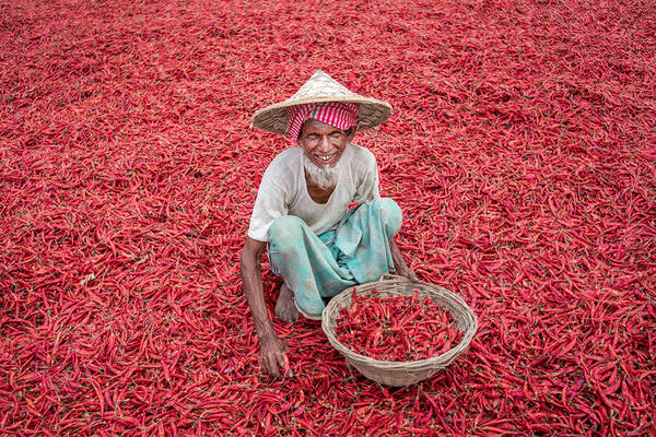 Photograph Sujon Adikary Red Chilli Picker on One Eyeland