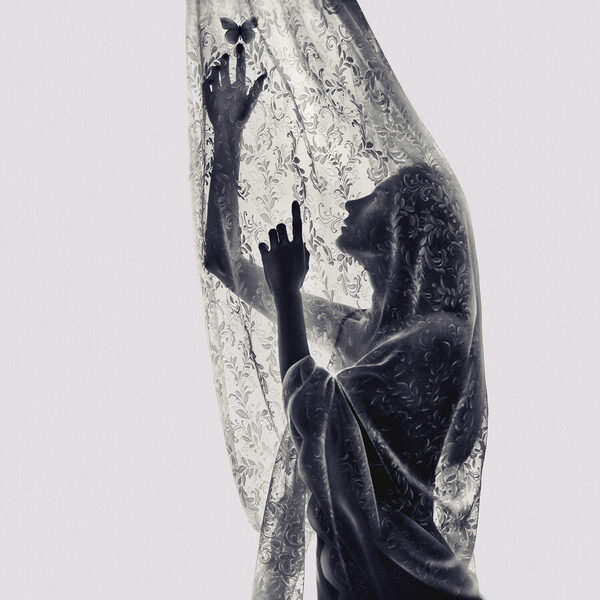 Photograph Nur Ernehir The Butterfly On The Curtain on One Eyeland