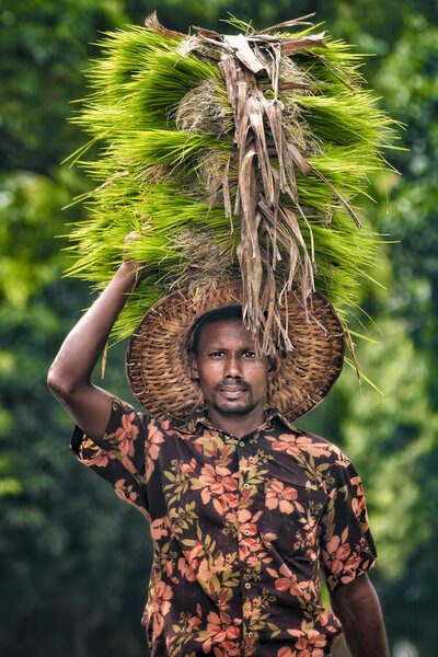 Photograph Sujon Adikary The Farmer on One Eyeland
