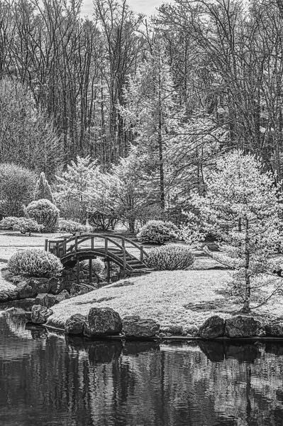 Photograph Larry Hamill Dawes Arboretum on One Eyeland