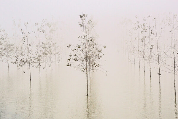 Photograph Carlo Rondinone Dopo La Piena Del Grande Fiume Po on One Eyeland