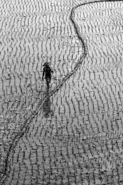 Photograph Sujon Adikary The Farmer on One Eyeland