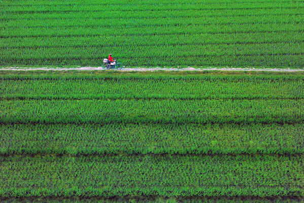 Photograph Sujon Adikary Farmer Going Home on One Eyeland