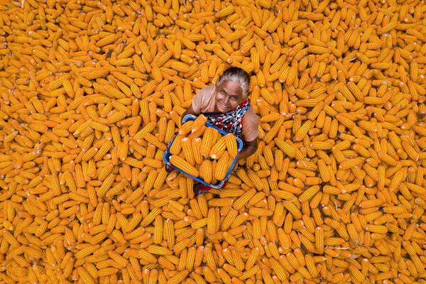 Photograph Sujon Adikary Corn Seller on One Eyeland
