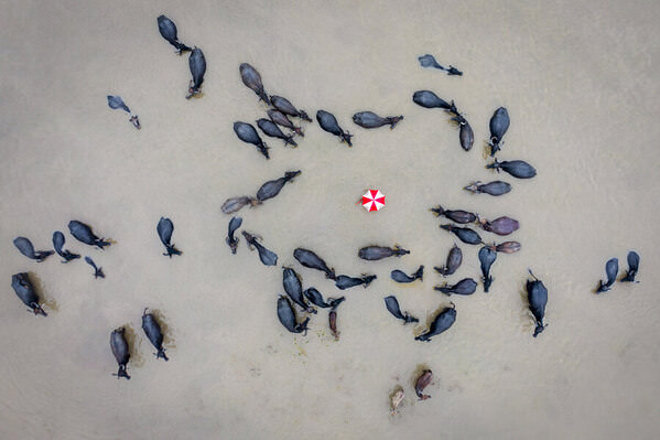 Photograph Sujon Adikary Lets Bath on One Eyeland
