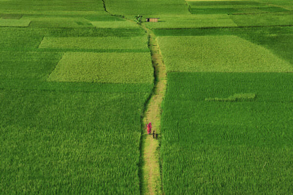 Photograph Sujon Adikary Homecoming on One Eyeland