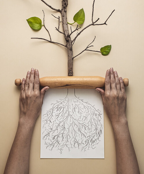 Photograph Amin Roshan Afshar The Future on One Eyeland