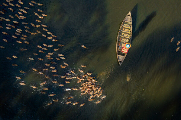 Photograph Sujon Adikary Feeding Ducks on One Eyeland