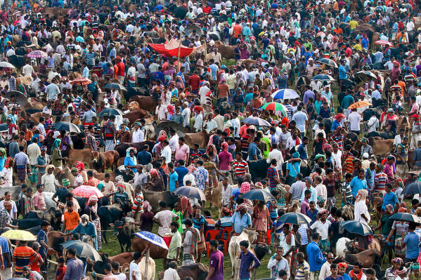 Photograph Sujon Adikary Eid Cattle Market on One Eyeland