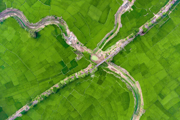 Photograph Sujon Adikary Go Green on One Eyeland