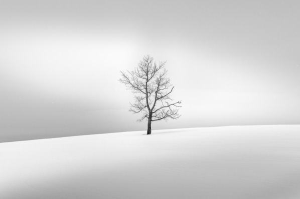Photograph Evgeny Ivanov On The Hill on One Eyeland