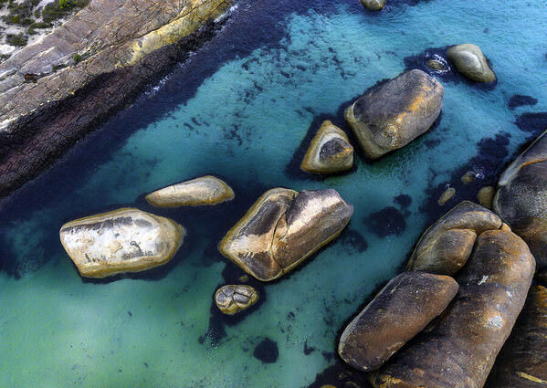 Photograph Graham Earnshaw Elephants Below on One Eyeland