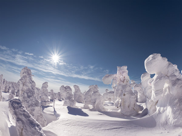 Photograph Yuta Kimura Snow Monsters Under Blue Sky on One Eyeland