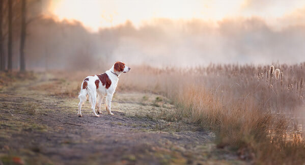 Photograph Katja Goovaerts Dreaming Away on One Eyeland