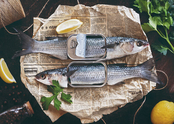 Photograph Yuliy Vasilev Fish You Can on One Eyeland
