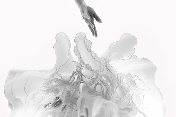 Photograph Daniel West The Dress on One Eyeland