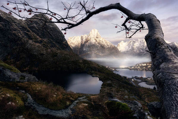 Photograph Antonio Prado Perez Natural Frame on One Eyeland