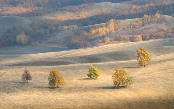 Photograph Evgeny Ivanov Autumn on One Eyeland