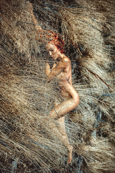 Photograph Ruslan Bolgov Wild And Free on One Eyeland