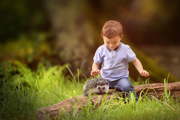 Photograph Carlos Ribeiro Innocently Wild on One Eyeland