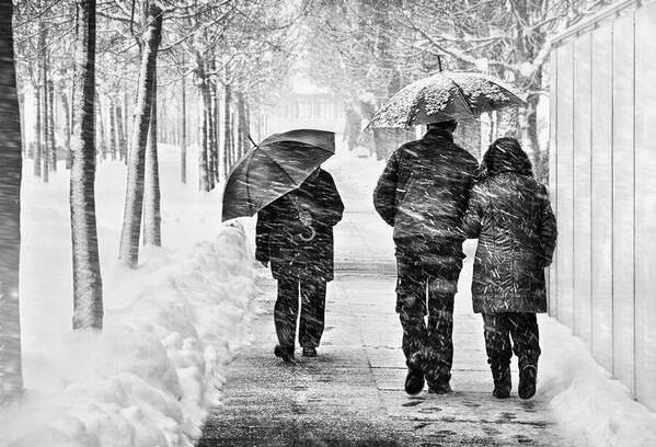 Photograph Samanta Krivec Cold on One Eyeland