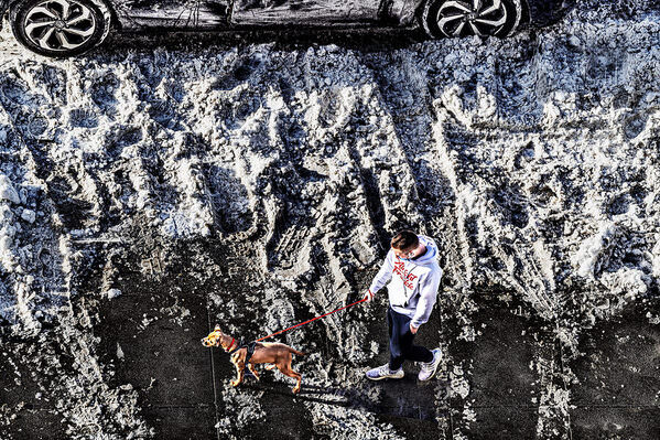 Photograph Mitchell Funk Early Morning Dog Walker on One Eyeland
