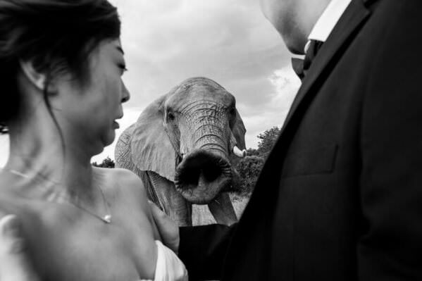 Photograph Daniel West Hello on One Eyeland
