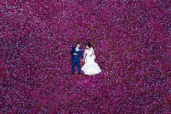 Photograph Daniel West From Above Purple on One Eyeland
