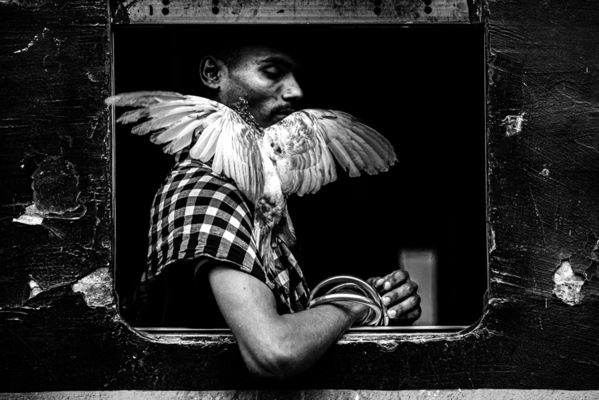 Photograph Rakibul Alam Khan Birds Have Wings on One Eyeland