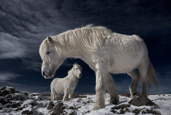 Photograph Bragi Ingibergsson Brin Partners on One Eyeland