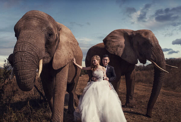 Photograph Daniel West Walking With Giants on One Eyeland
