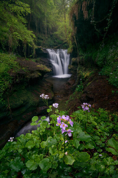 Photograph Daniel Vine Garcia The Paradise on One Eyeland