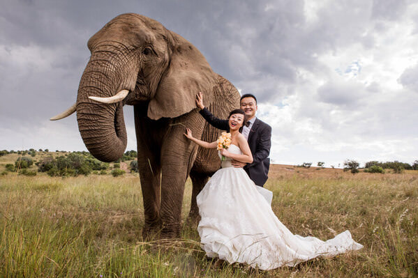 Photograph Daniel West Safari Wedding on One Eyeland