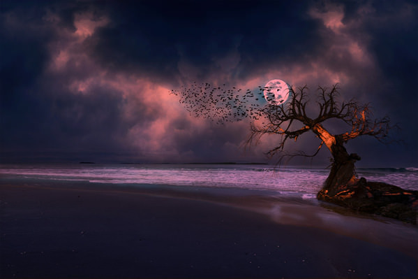 Photograph Diana Ivanova Quite Night on One Eyeland