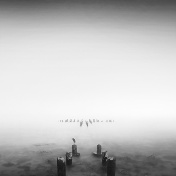 Photograph Saraa Bahari Silence on One Eyeland