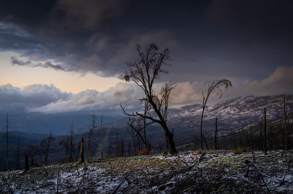Photograph Joshua Smith Hollow on One Eyeland