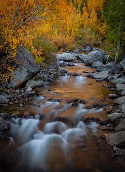 Photograph Joshua Smith Panning For Sierra Gold on One Eyeland