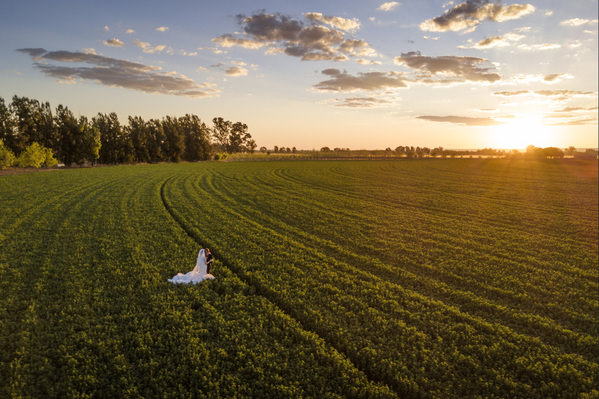 Photograph Daniel West Fields on One Eyeland