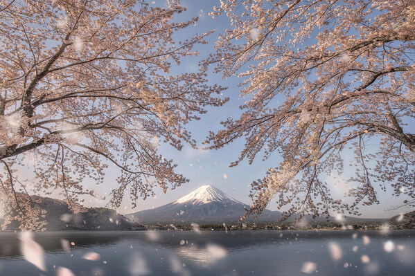 Photograph Jatenipat Jkboy Ketpradit Sakura Embrance on One Eyeland