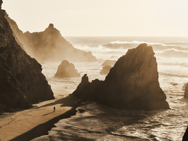 Photograph James Brooks Wandering Among Giants on One Eyeland