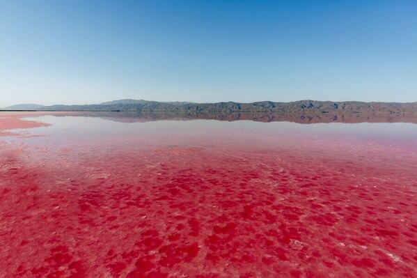 Photograph Zahra Nouri Pink Lake on One Eyeland
