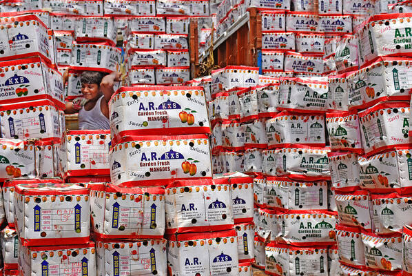 Photograph Chinmoy Biswas Through The Boxes on One Eyeland