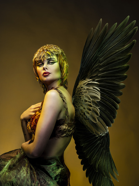 Photograph Krystel Marques Plumes I on One Eyeland