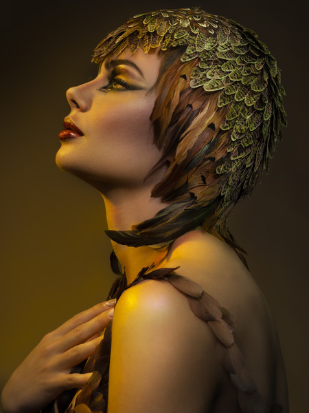 Photograph Krystel Marques Plumes Ii on One Eyeland