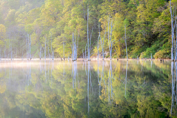 Photograph Yuusei Nagahata The Surface Of The Lake Where The Morning Sun Pour on One Eyeland
