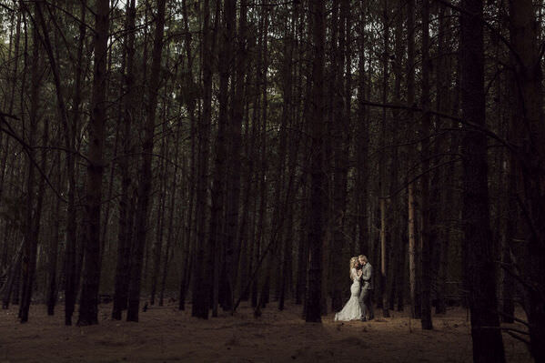 Photograph Daniel West Forest on One Eyeland