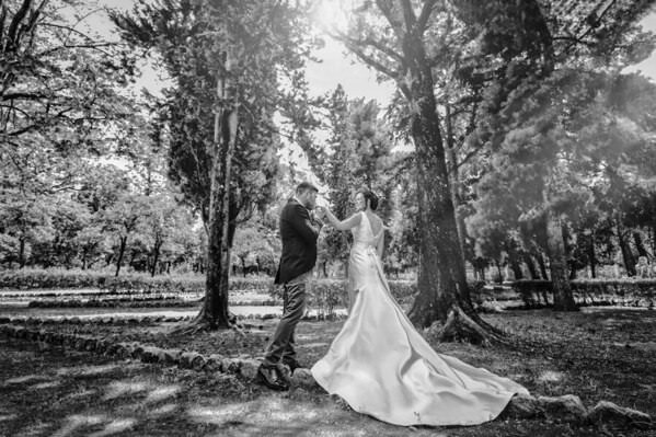 Photograph Vincenzo Di Liberto Villa Giulia Orto Botanico on One Eyeland