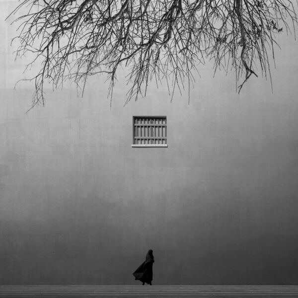 Photograph Ali Zolghadri Waiting For Freedom on One Eyeland