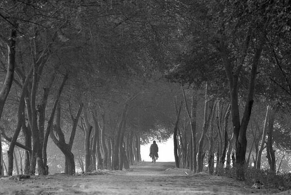 Photograph Chinmoy Biswas Trough The Trees on One Eyeland