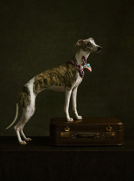 Photograph Teemu Andreas Minni on One Eyeland